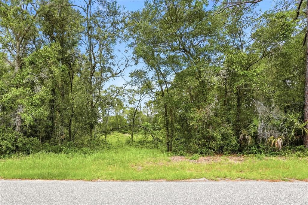 For Sale: $70,000 (1.80 acres)