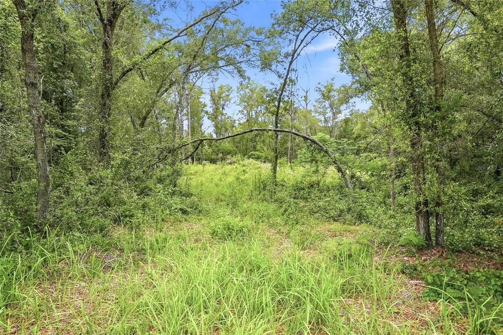 For Sale: $70,000 (1.80 acres)