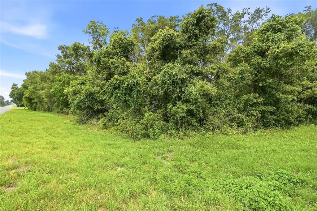For Sale: $70,000 (1.80 acres)