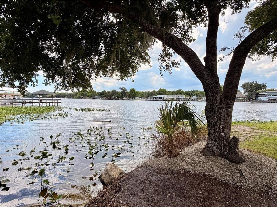 For Sale: $445,000 (0.59 acres)