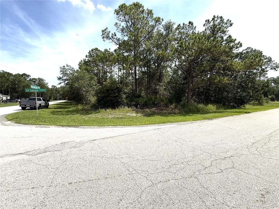 For Sale: $47,000 (1.01 acres)