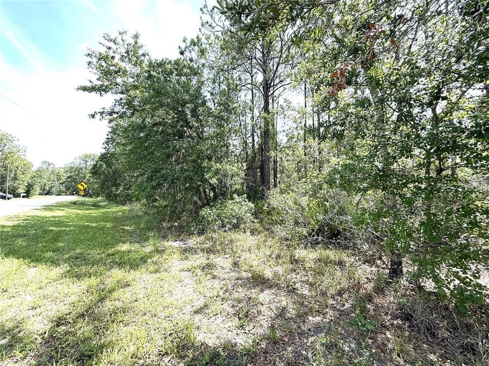 For Sale: $47,000 (1.01 acres)