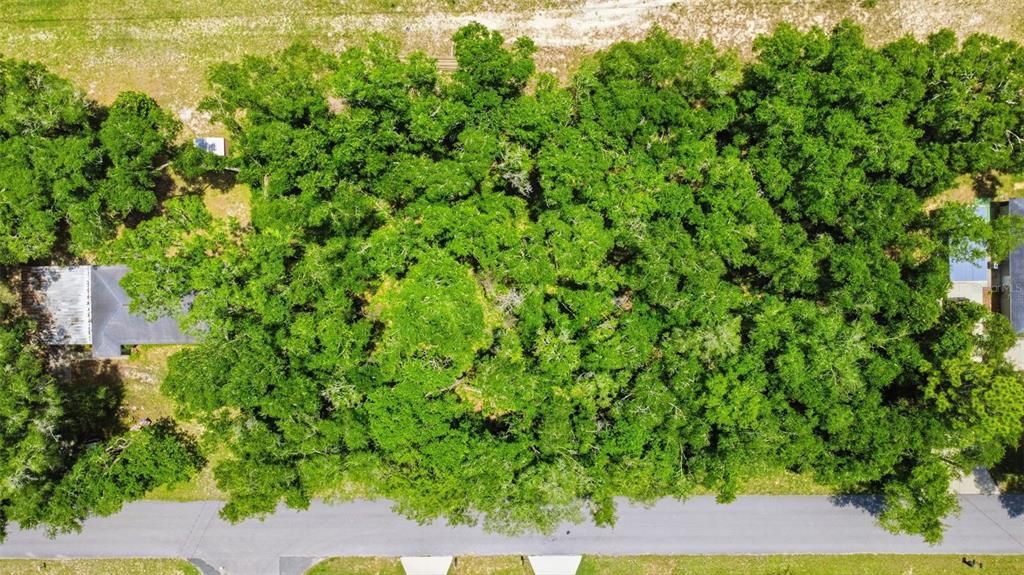 En Venta: $25,000 (0.55 acres)