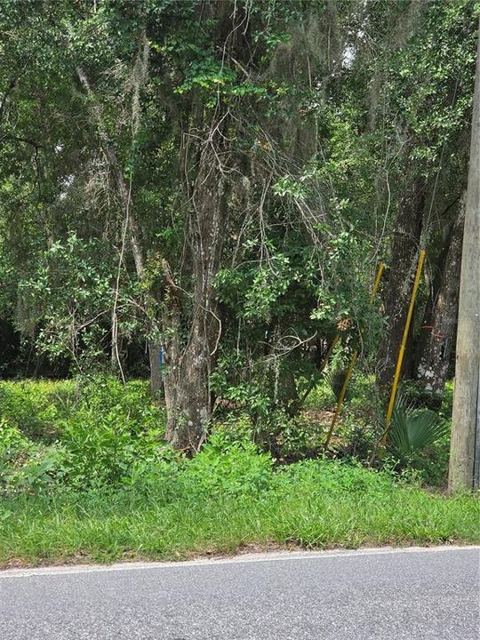 待售: $620,000 (2.60 acres)