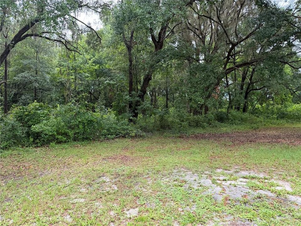For Sale: $320,000 (4 beds, 2 baths, 1649 Square Feet)