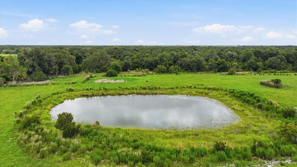 For Sale: $3,499,000 (83.35 acres)