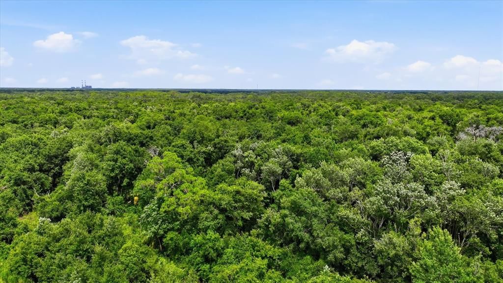 For Sale: $3,499,000 (83.35 acres)