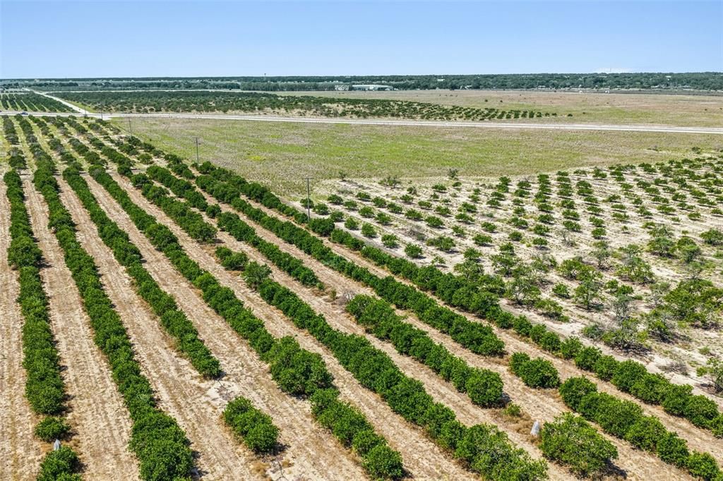 На продажу: $1,091,200 (19.86 acres)