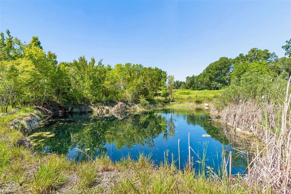 待售: $300,000 (6.04 acres)