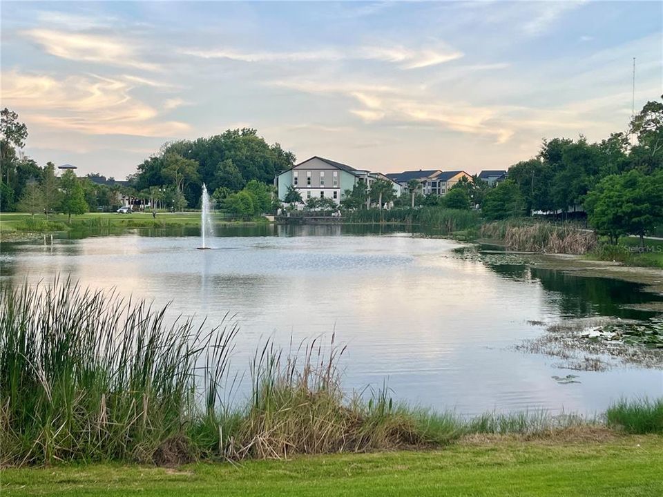 For Rent: $2,590 (3 beds, 2 baths, 2016 Square Feet)