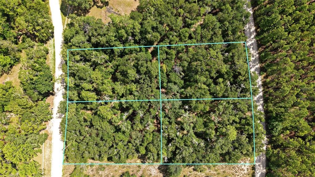For Sale: $29,995 (1.55 acres)