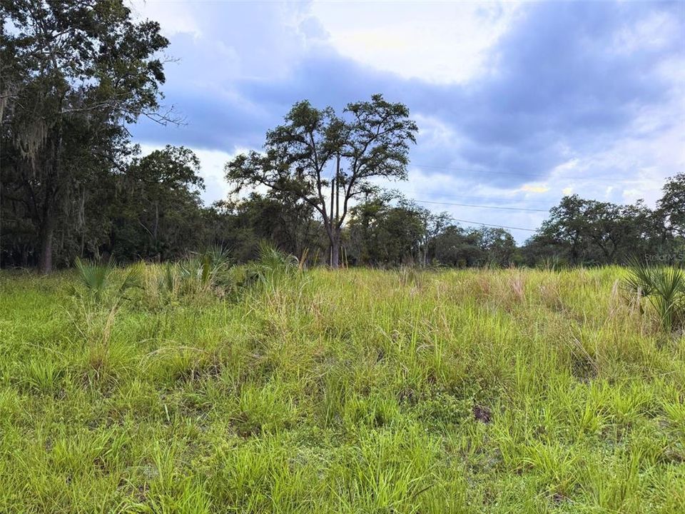 En Venta: $54,900 (0.19 acres)