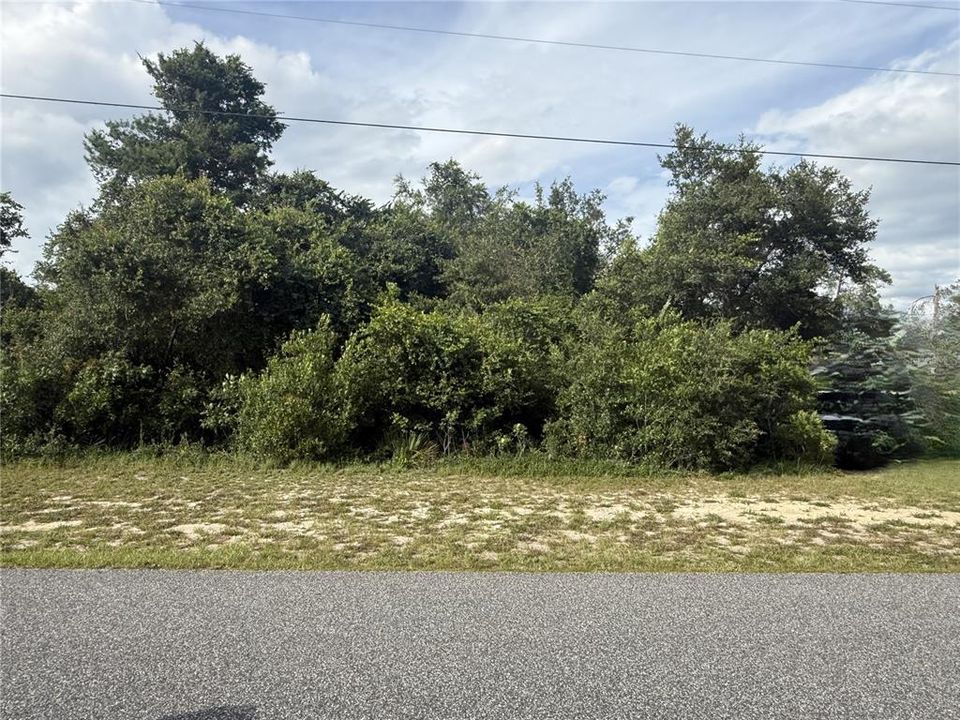 For Sale: $49,500 (0.24 acres)