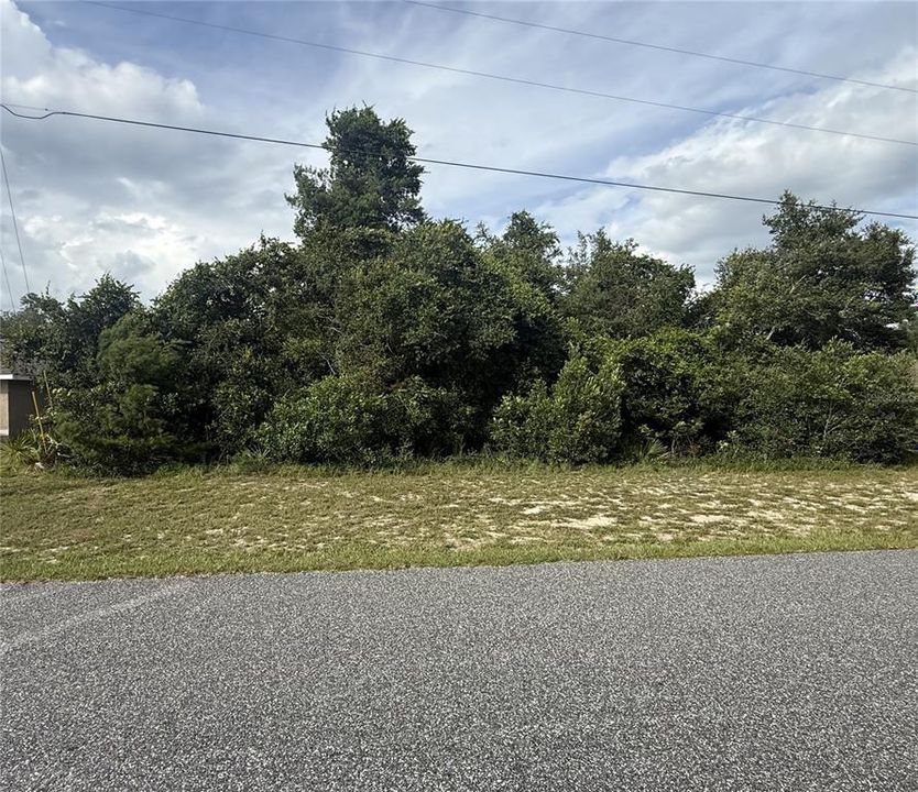 For Sale: $49,500 (0.24 acres)