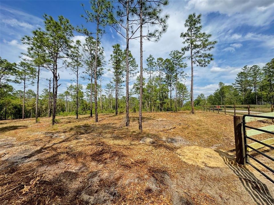 For Sale: $31,900 (0.99 acres)