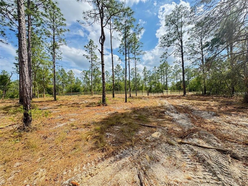For Sale: $31,900 (0.99 acres)