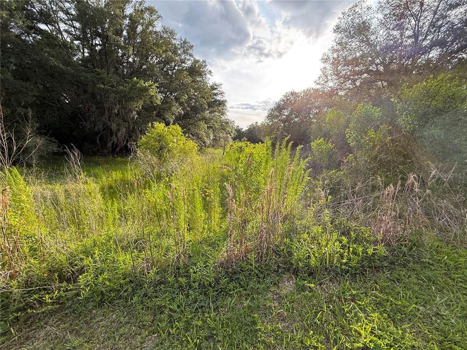 For Sale: $83,000 (12.10 acres)