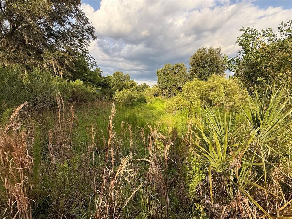 For Sale: $83,000 (12.10 acres)