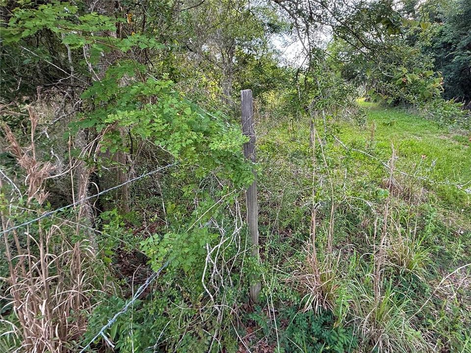 For Sale: $83,000 (12.10 acres)