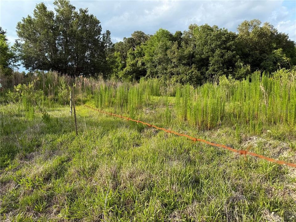 For Sale: $83,000 (12.10 acres)