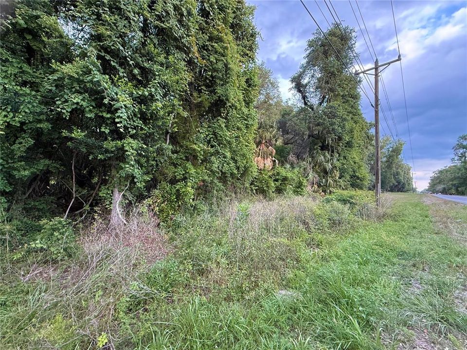 For Sale: $83,000 (12.10 acres)