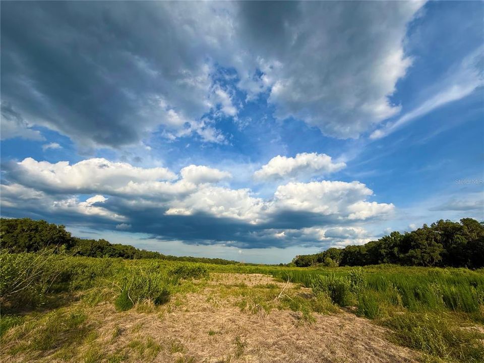 For Sale: $83,000 (12.10 acres)