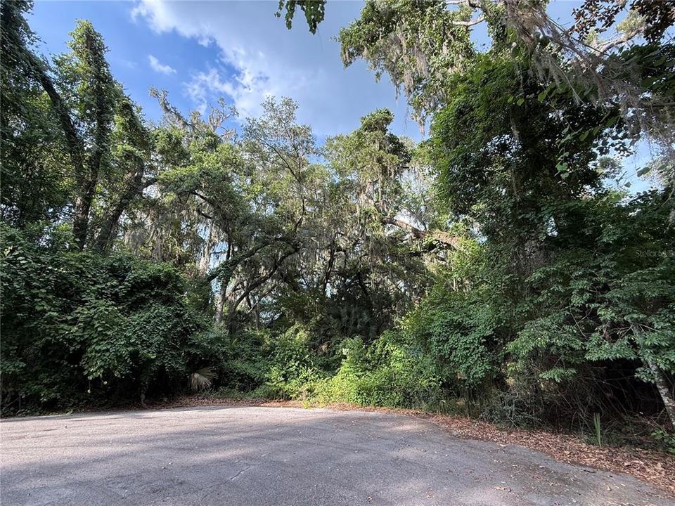 For Sale: $83,000 (12.10 acres)