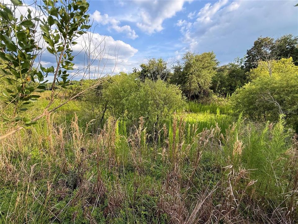 For Sale: $83,000 (12.10 acres)