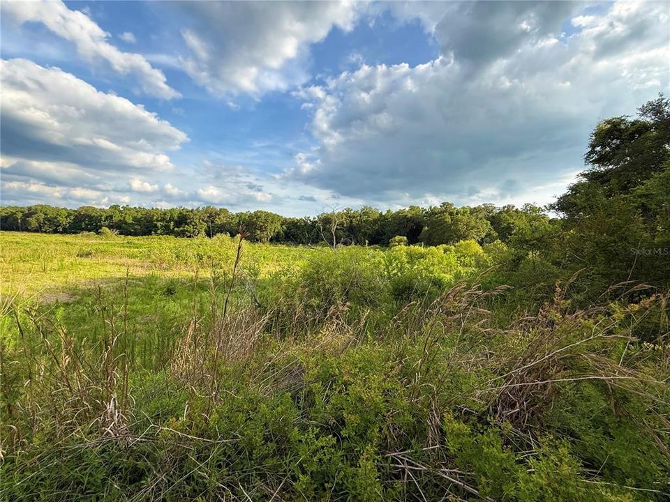 For Sale: $83,000 (12.10 acres)