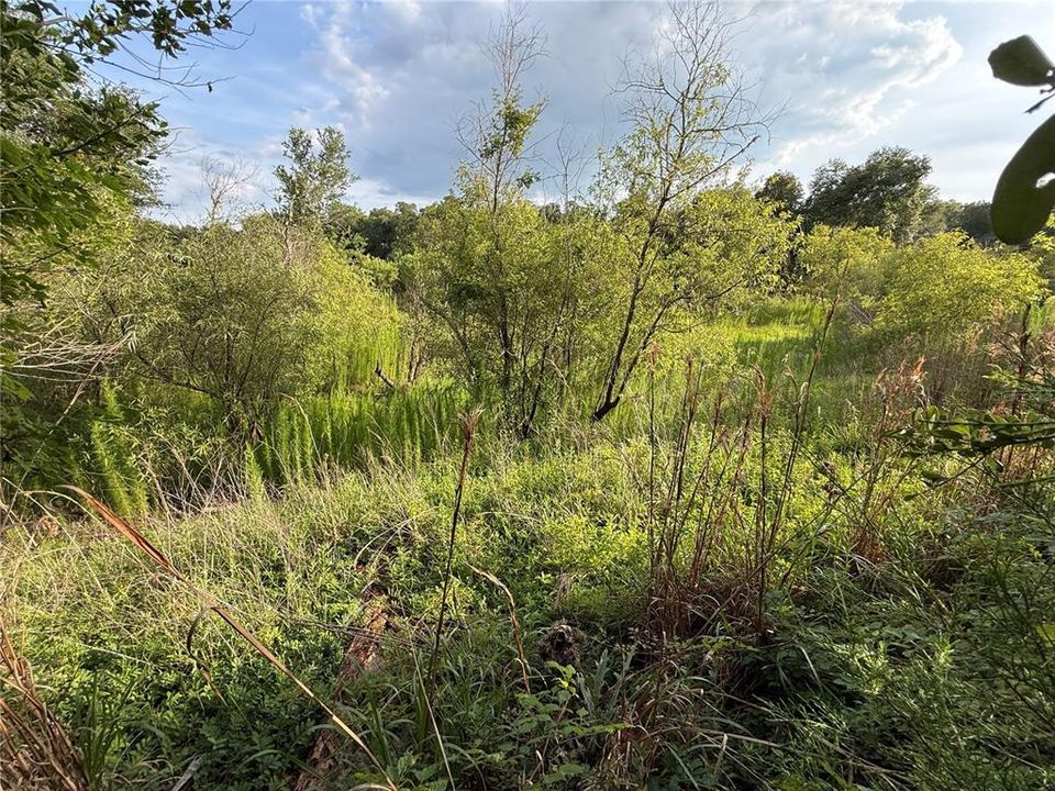 For Sale: $83,000 (12.10 acres)