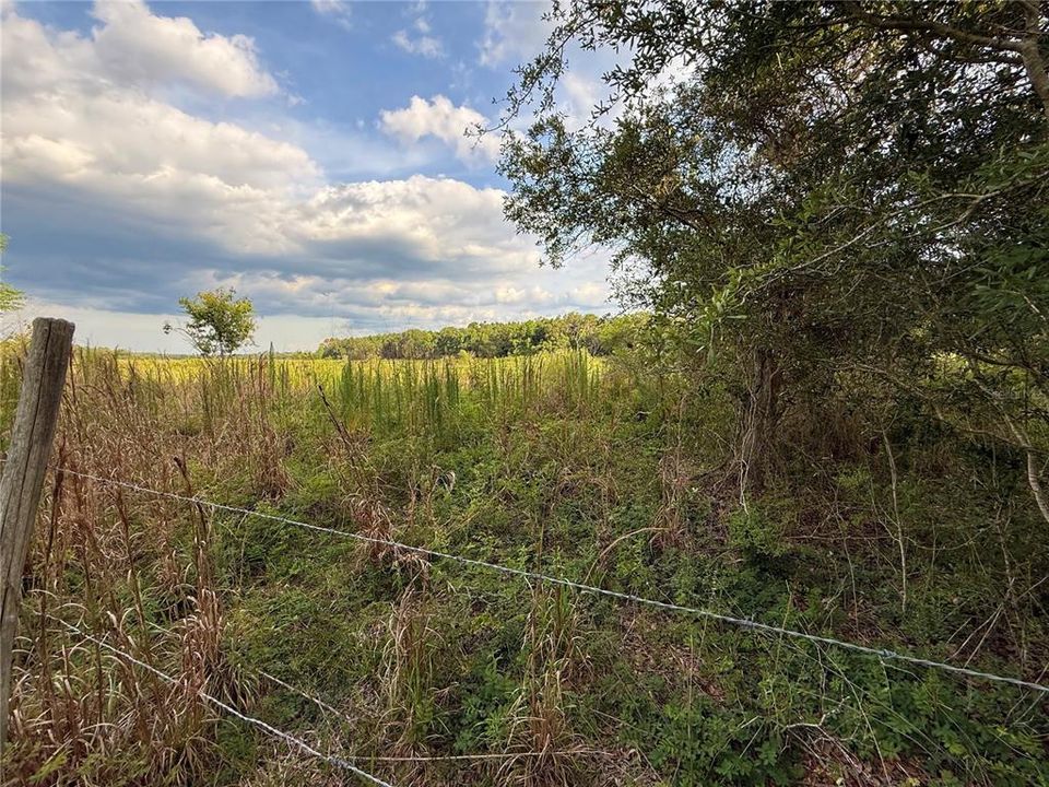 For Sale: $83,000 (12.10 acres)
