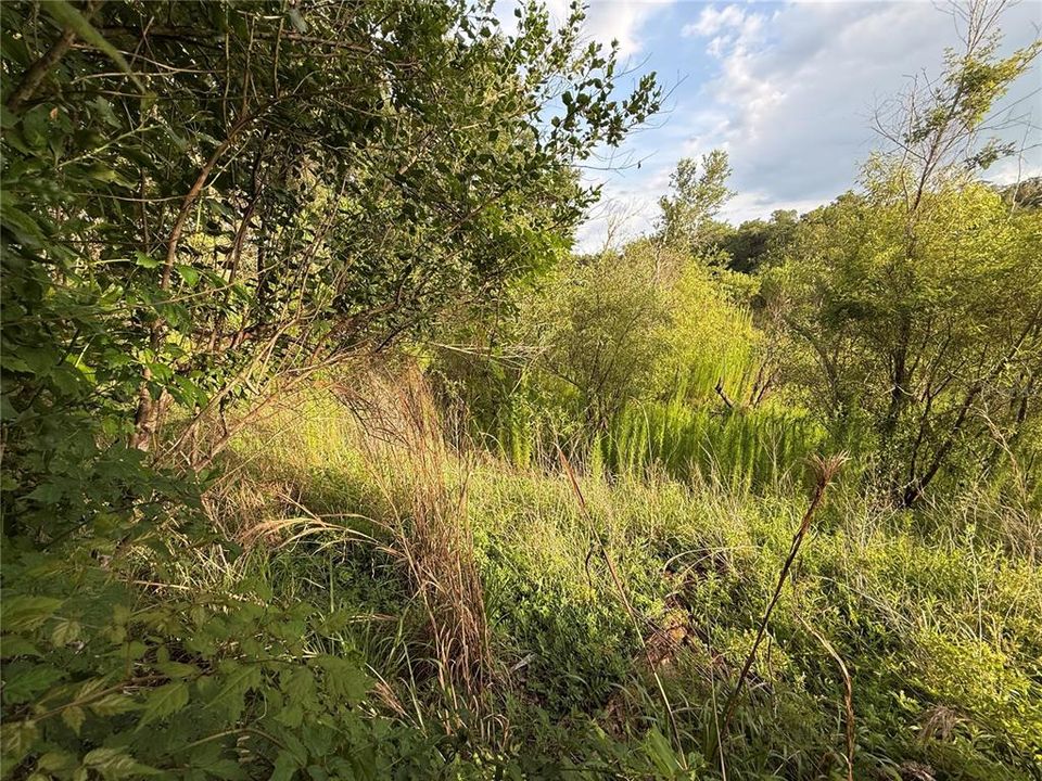 For Sale: $83,000 (12.10 acres)