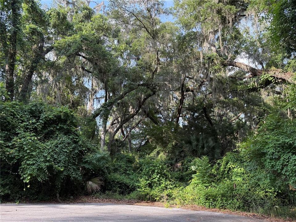 For Sale: $83,000 (12.10 acres)