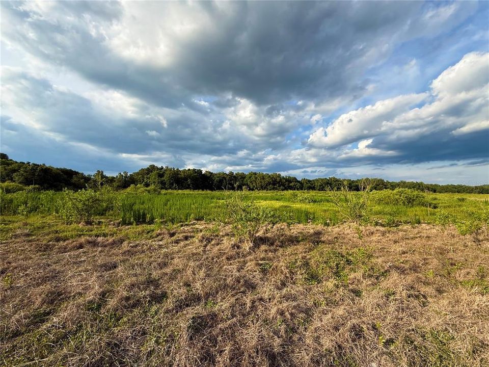 For Sale: $83,000 (12.10 acres)
