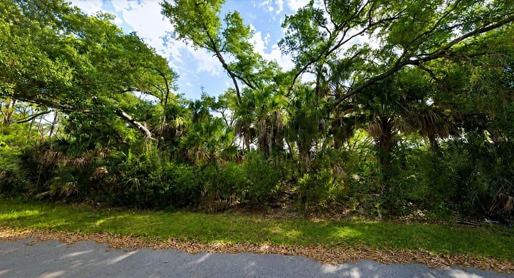For Sale: $29,900 (0.23 acres)