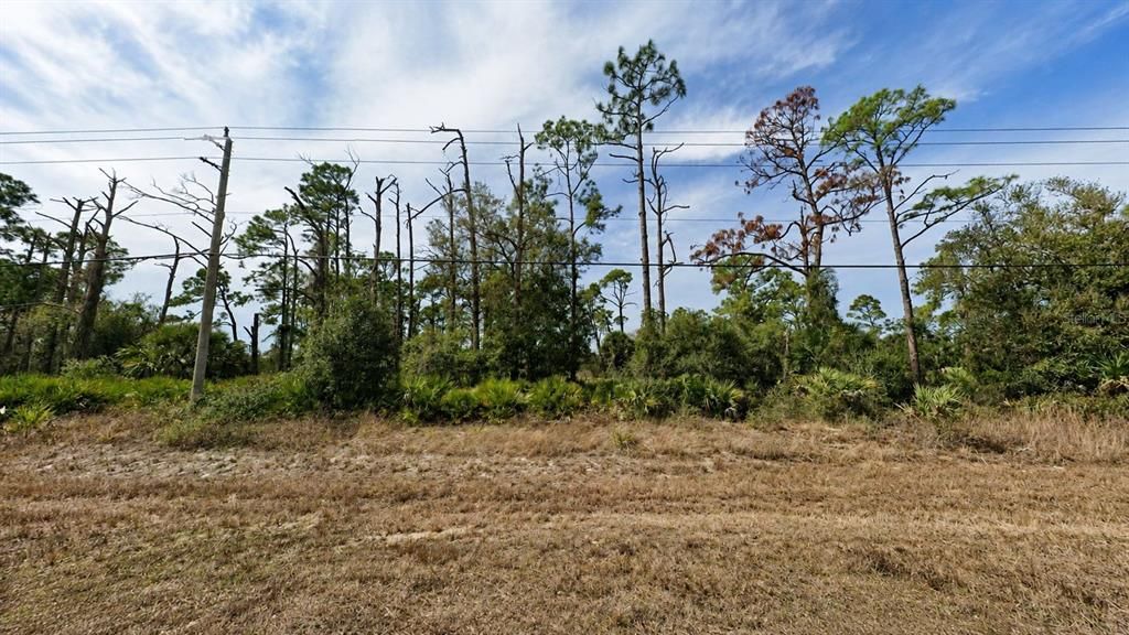 For Sale: $29,900 (0.23 acres)