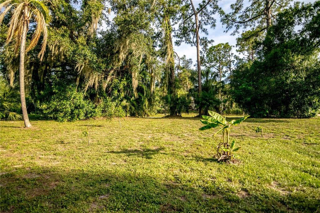 For Sale: $35,000 (0.20 acres)