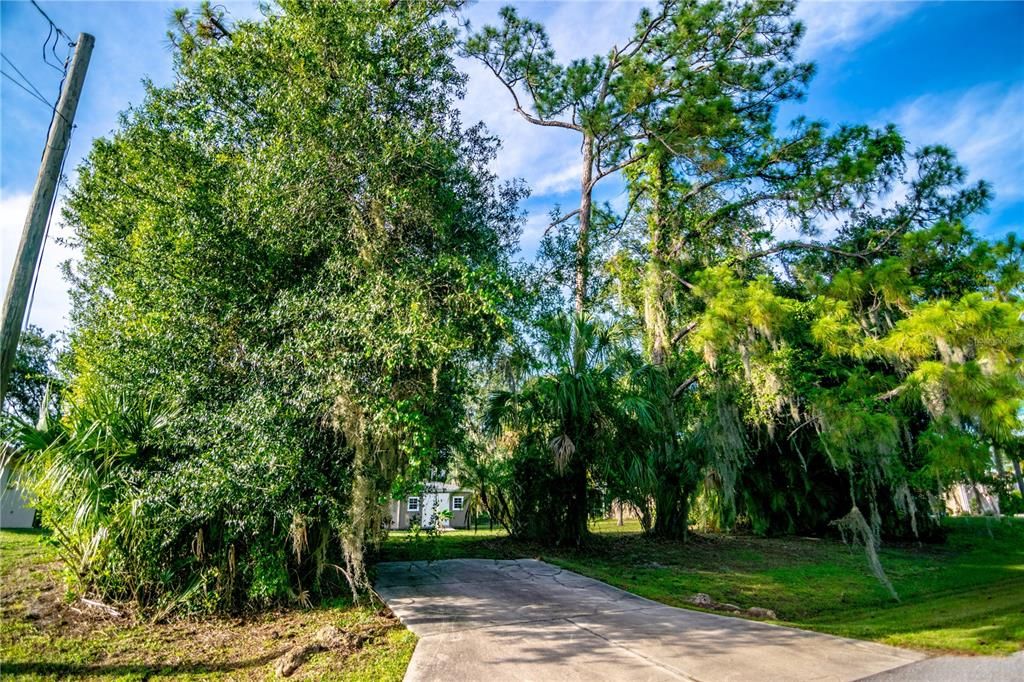 For Sale: $35,000 (0.20 acres)