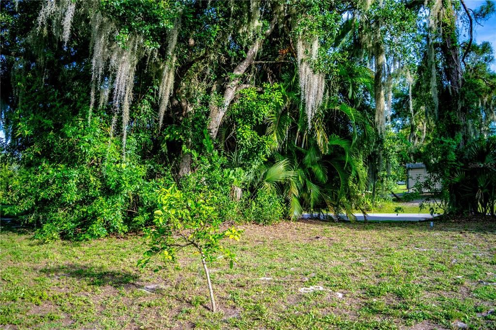 For Sale: $35,000 (0.20 acres)