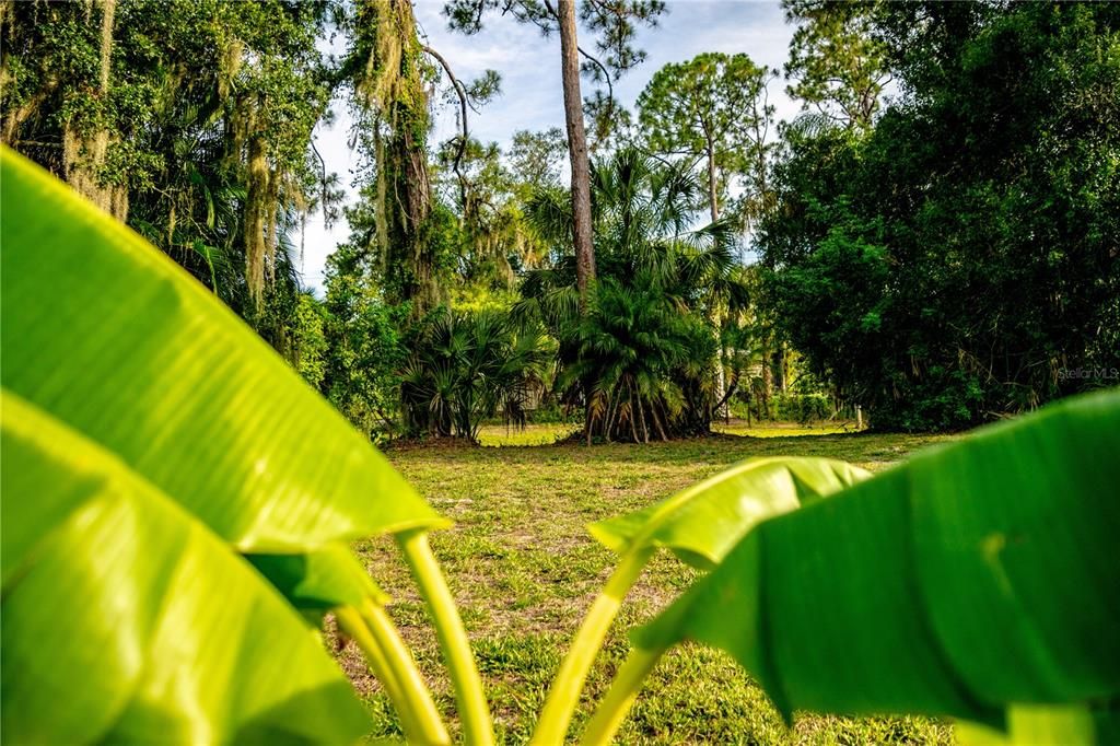 For Sale: $35,000 (0.20 acres)