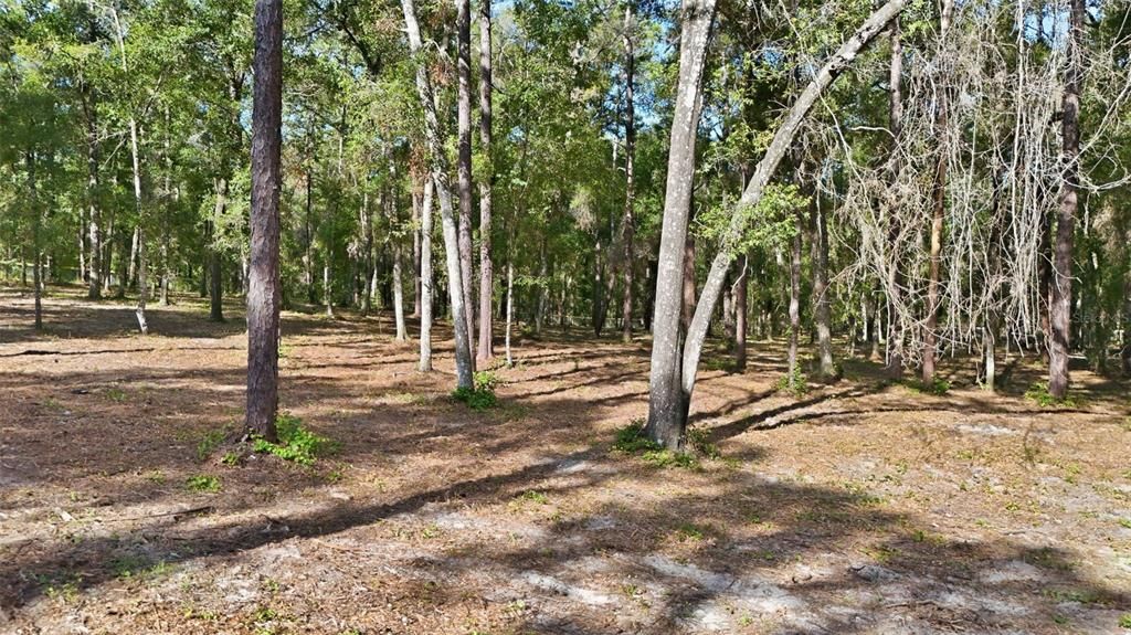 For Sale: $179,000 (2.61 acres)