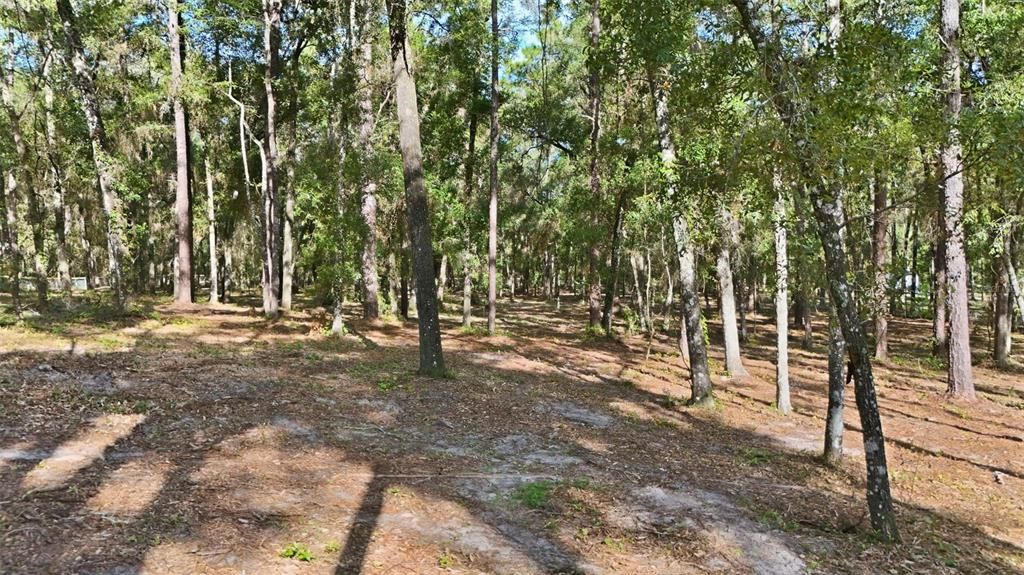 For Sale: $179,000 (2.61 acres)