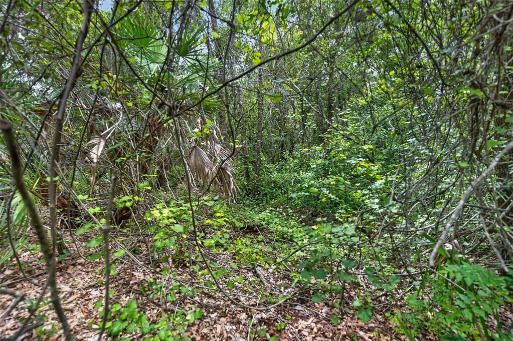 For Sale: $75,000 (0.43 acres)