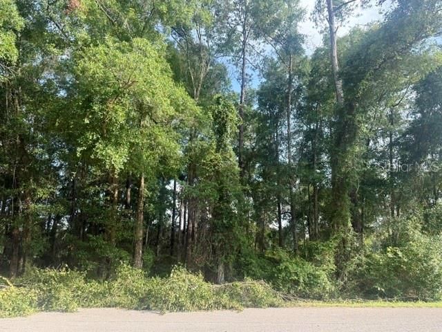 Vendido Recientemente: $28,500 (0.20 acres)