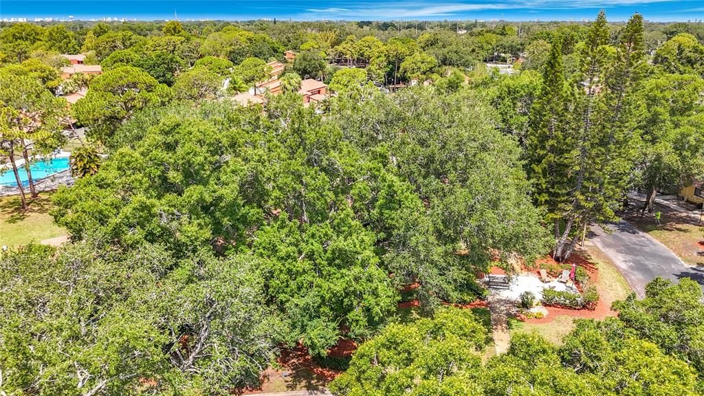 En Venta: $269,000 (2 camas, 2 baños, 1025 Pies cuadrados)