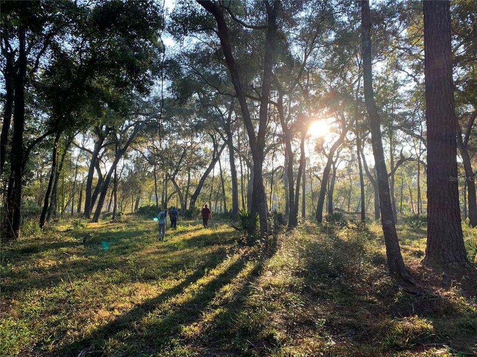 For Sale: $120,000 (2.39 acres)
