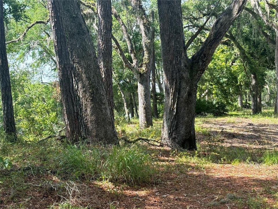 For Sale: $120,000 (2.39 acres)