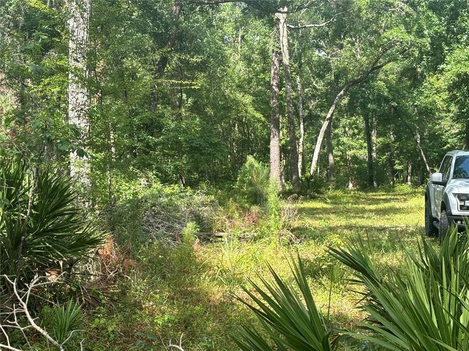 For Sale: $120,000 (2.39 acres)
