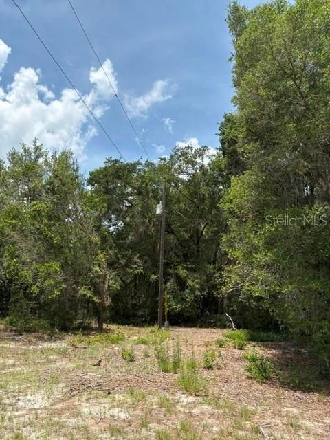 На продажу: $85,000 (3.79 acres)