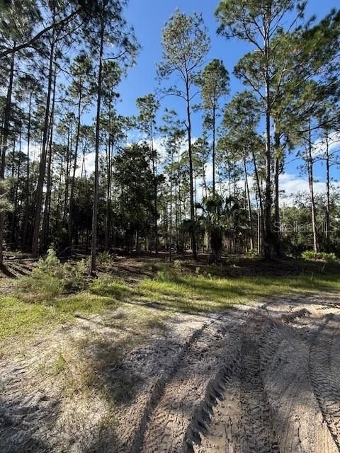 待售: $25,900 (1.06 acres)